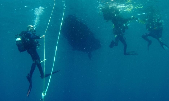 Curso de buceo en tenerife